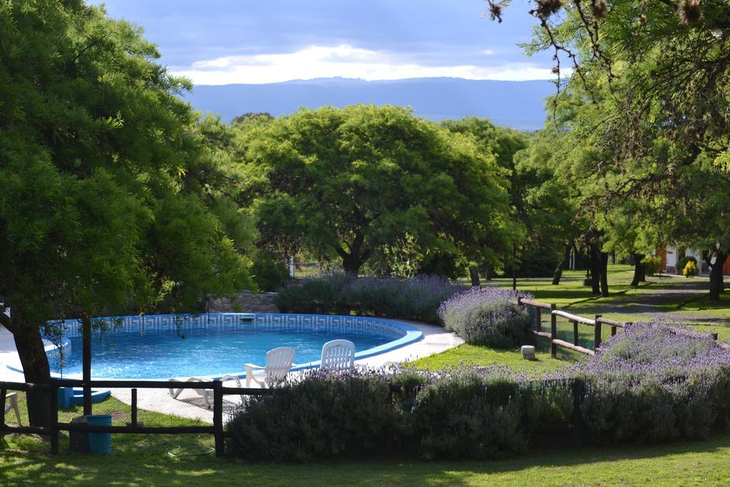 Cabanas Los Algarrobos บียา เฮเนรัล เบลกราโน ภายนอก รูปภาพ