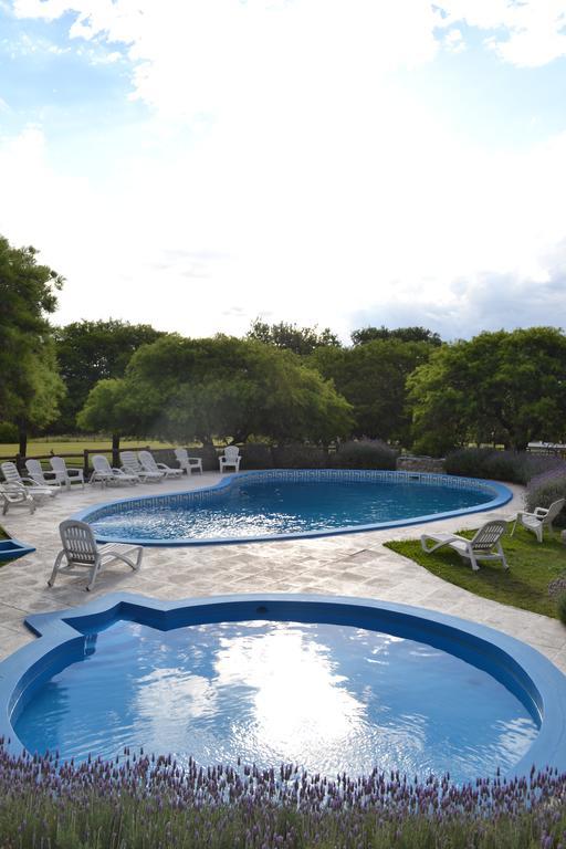 Cabanas Los Algarrobos บียา เฮเนรัล เบลกราโน ภายนอก รูปภาพ